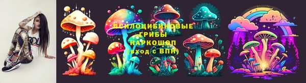 молекула духа Алексин