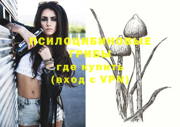 метадон Алзамай