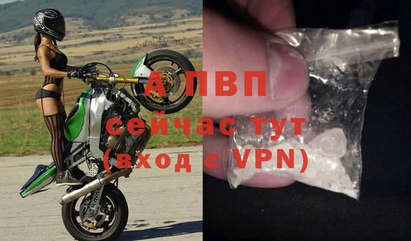 молекула духа Алексин