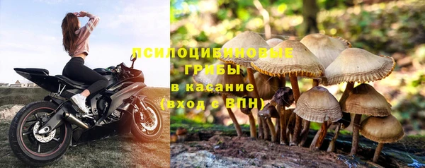 метадон Алзамай