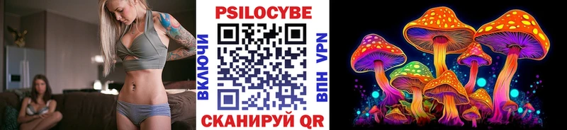 Купить где  Спасск-Рязанский  Псилоцибиновые грибы Cubensis 