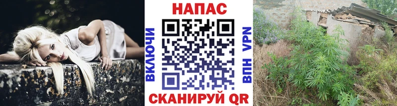 МАРИХУАНА план  Купить  Спасск-Рязанский 